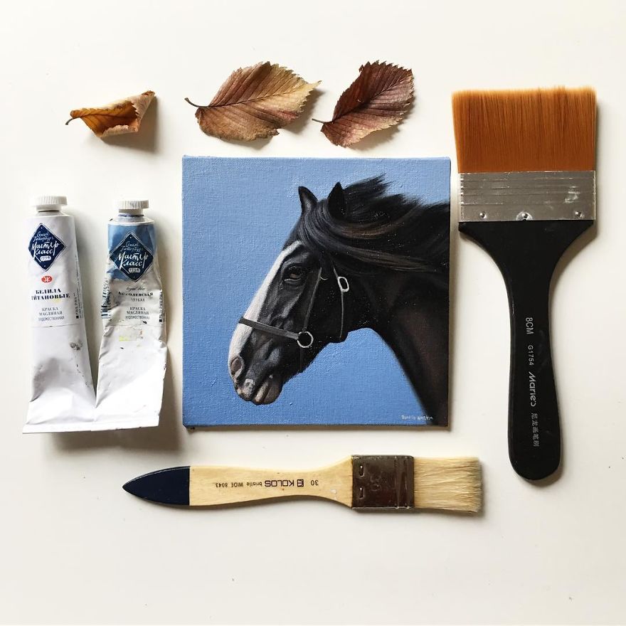 365 Horse Portraits In 365 Days