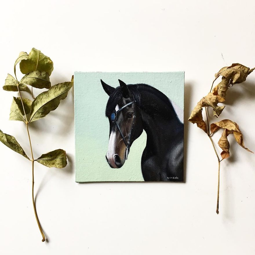 365 Horse Portraits In 365 Days