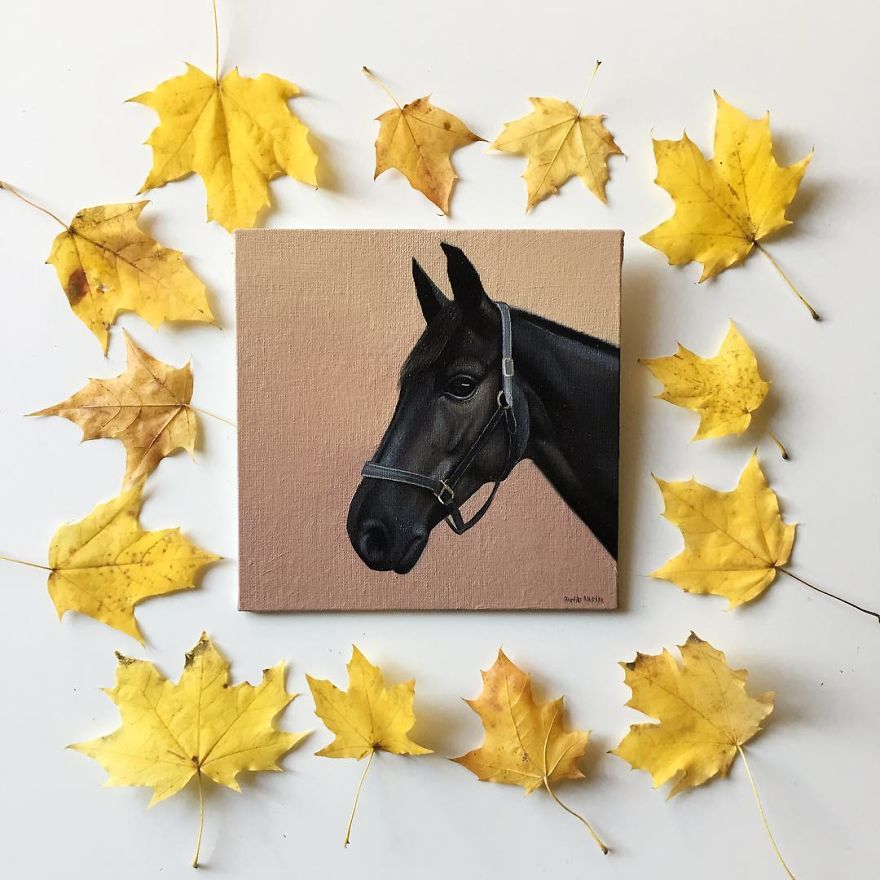 365 Horse Portraits In 365 Days