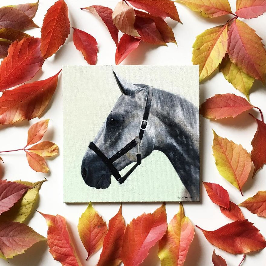 365 Horse Portraits In 365 Days