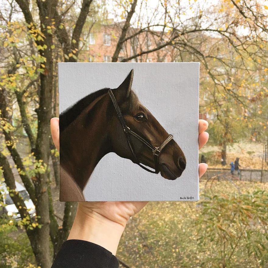 365 Horse Portraits In 365 Days