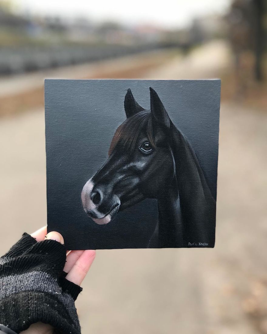 365 Horse Portraits In 365 Days