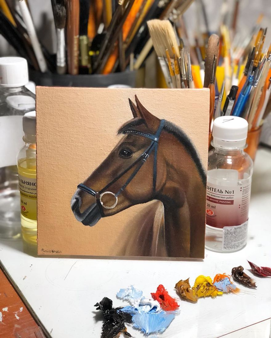 365 Horse Portraits In 365 Days
