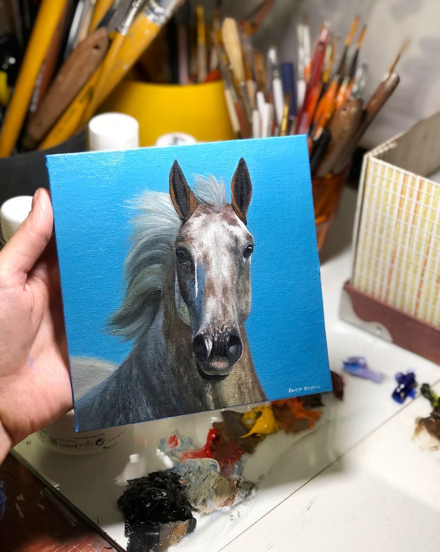 365 Horse Portraits In 365 Days