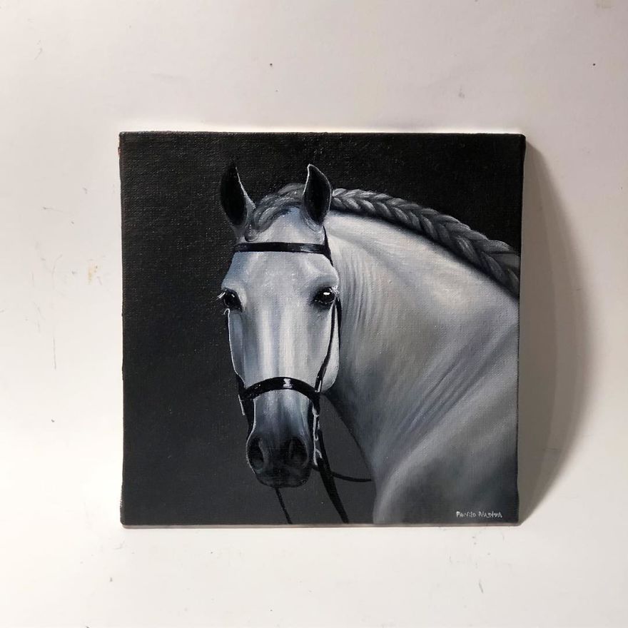 365 Horse Portraits In 365 Days