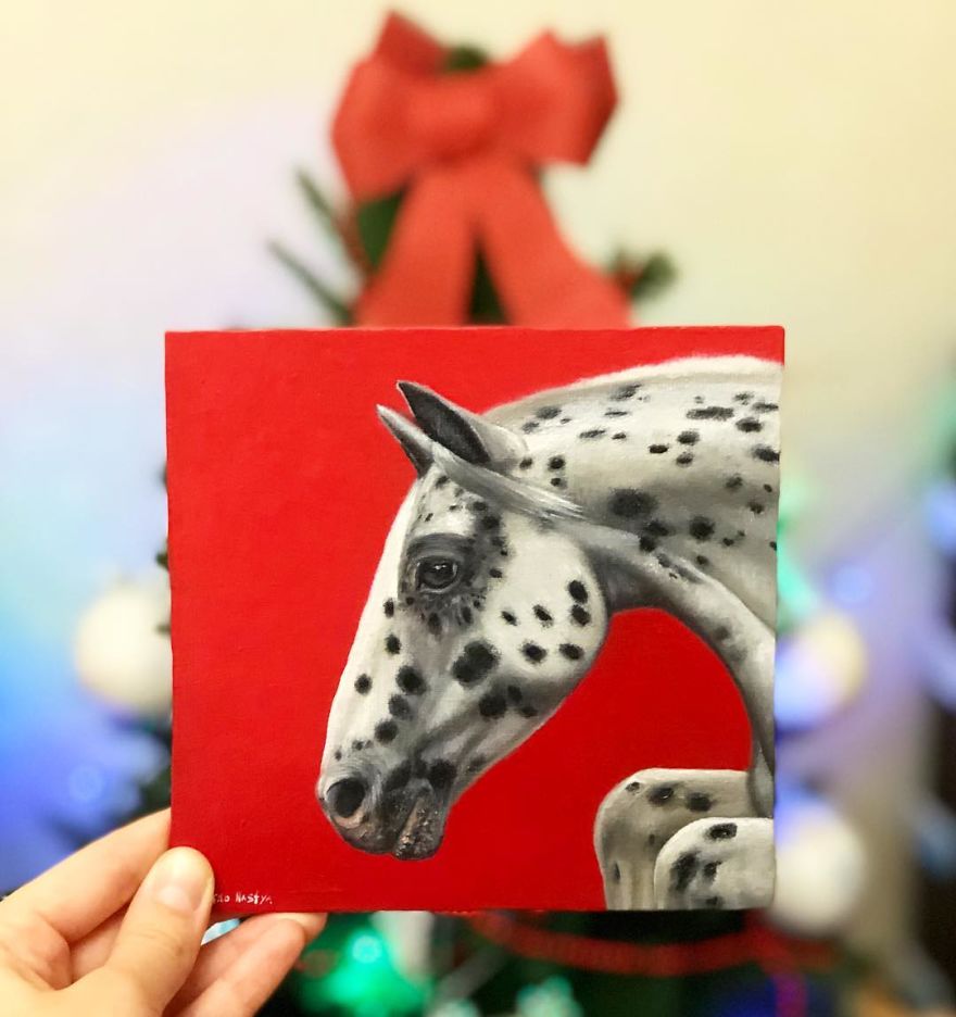 365 Horse Portraits In 365 Days