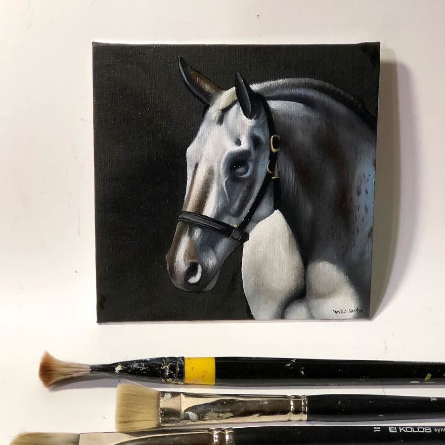 365 Horse Portraits In 365 Days