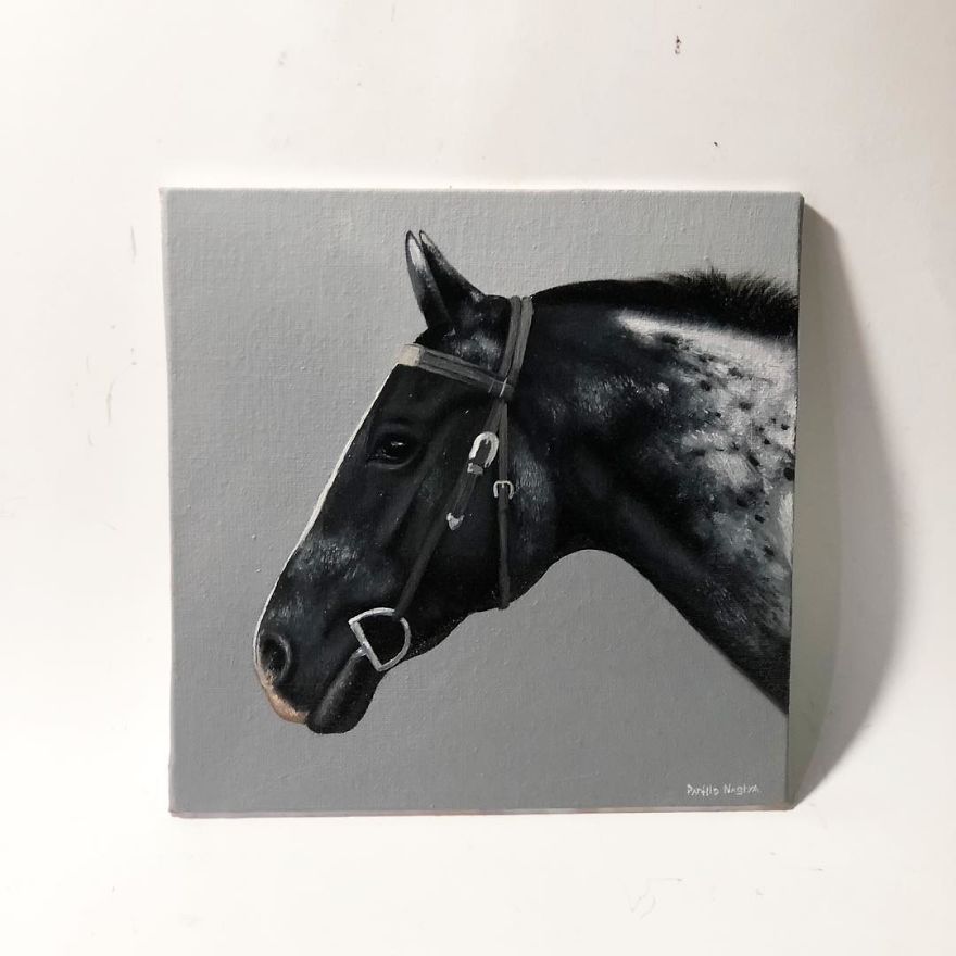 365 Horse Portraits In 365 Days