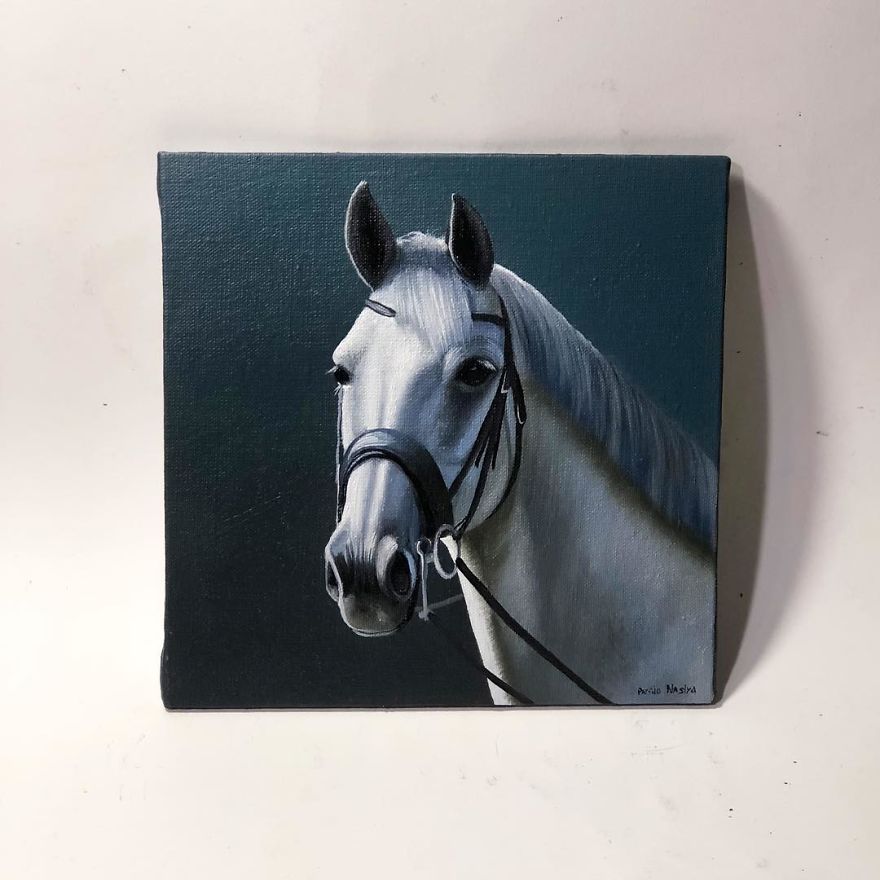 365 Horse Portraits In 365 Days