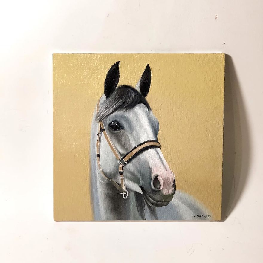 365 Horse Portraits In 365 Days