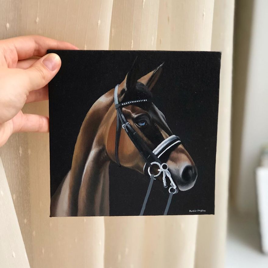 365 Horse Portraits In 365 Days