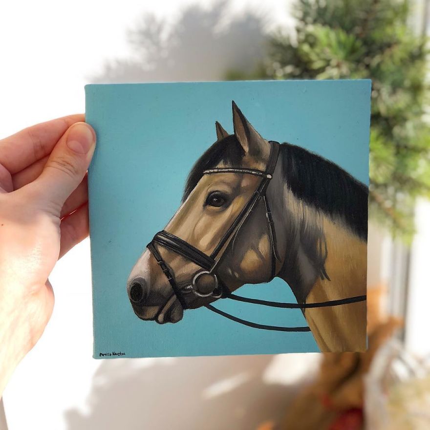 365 Horse Portraits In 365 Days