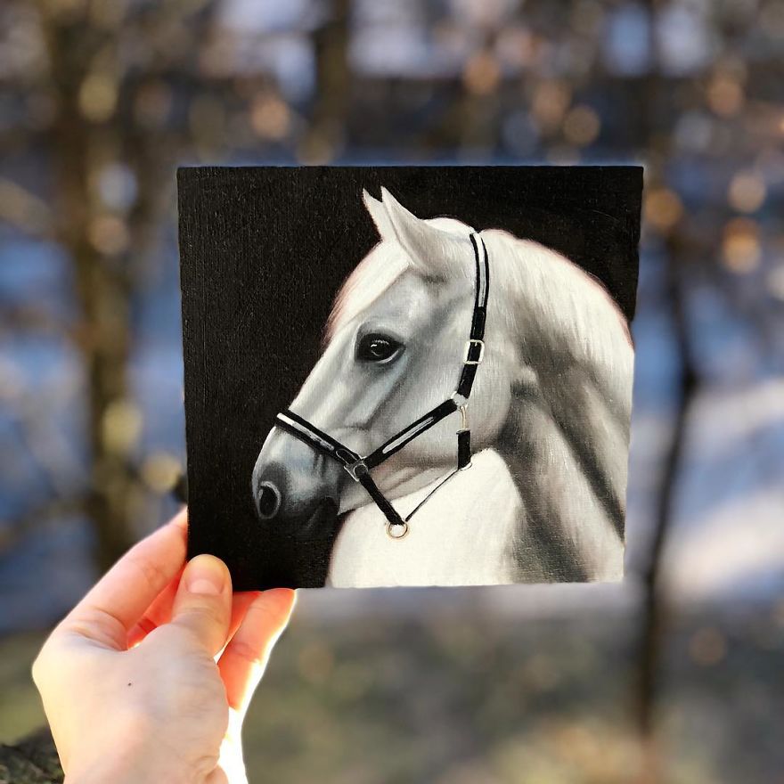 365 Horse Portraits In 365 Days