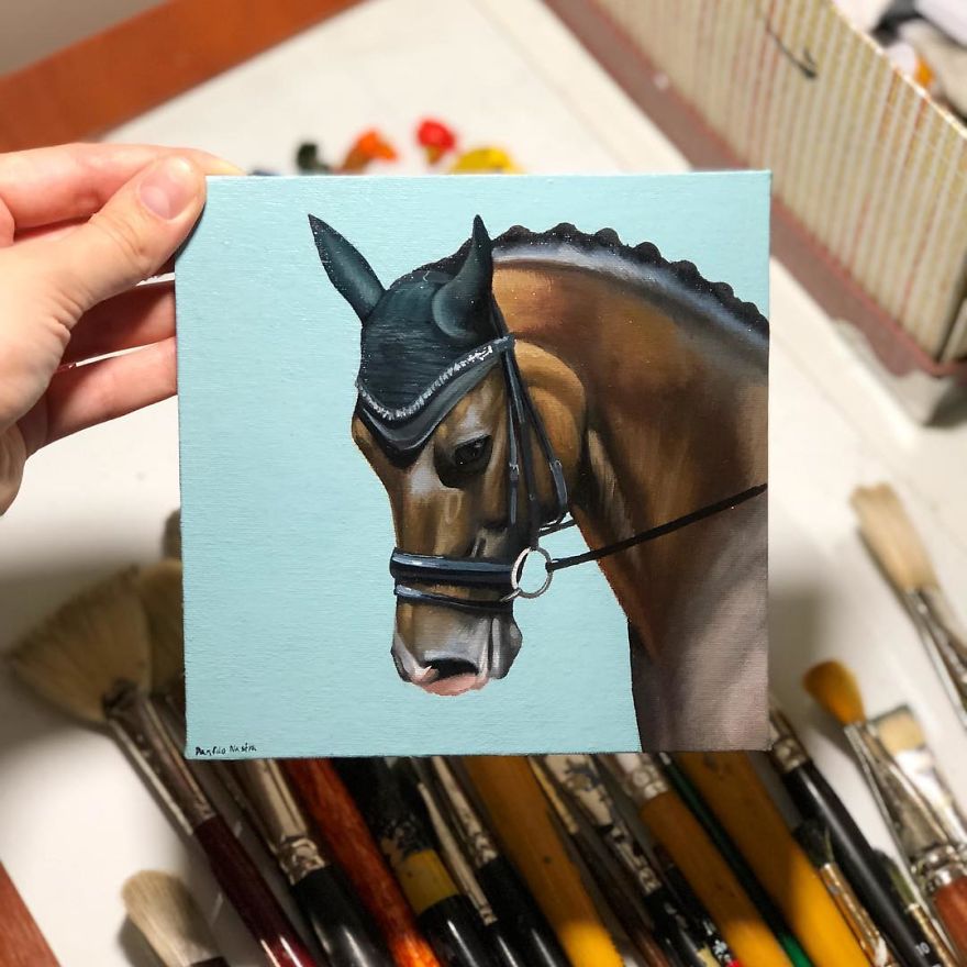 365 Horse Portraits In 365 Days