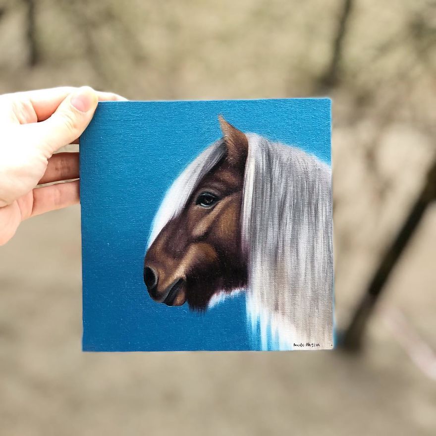 365 Horse Portraits In 365 Days