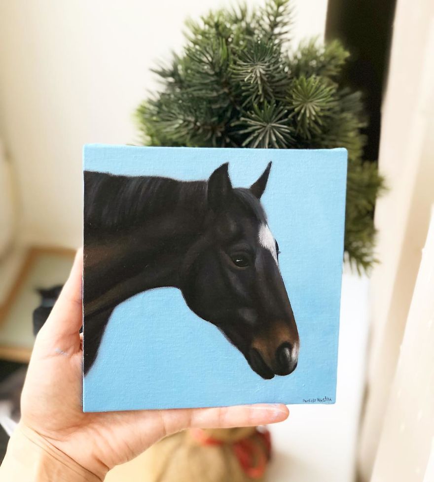 365 Horse Portraits In 365 Days