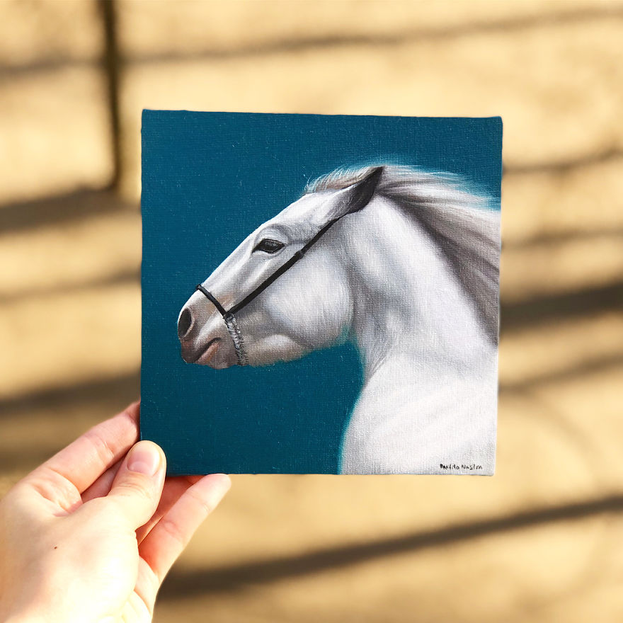 365 Horse Portraits In 365 Days