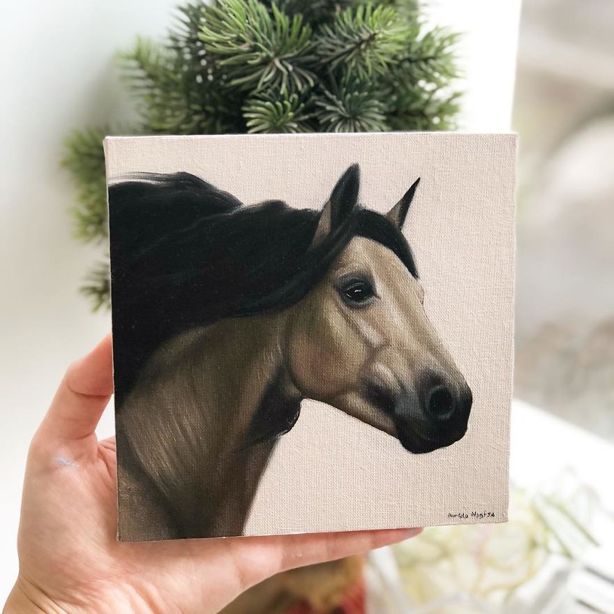 365 Horse Portraits In 365 Days