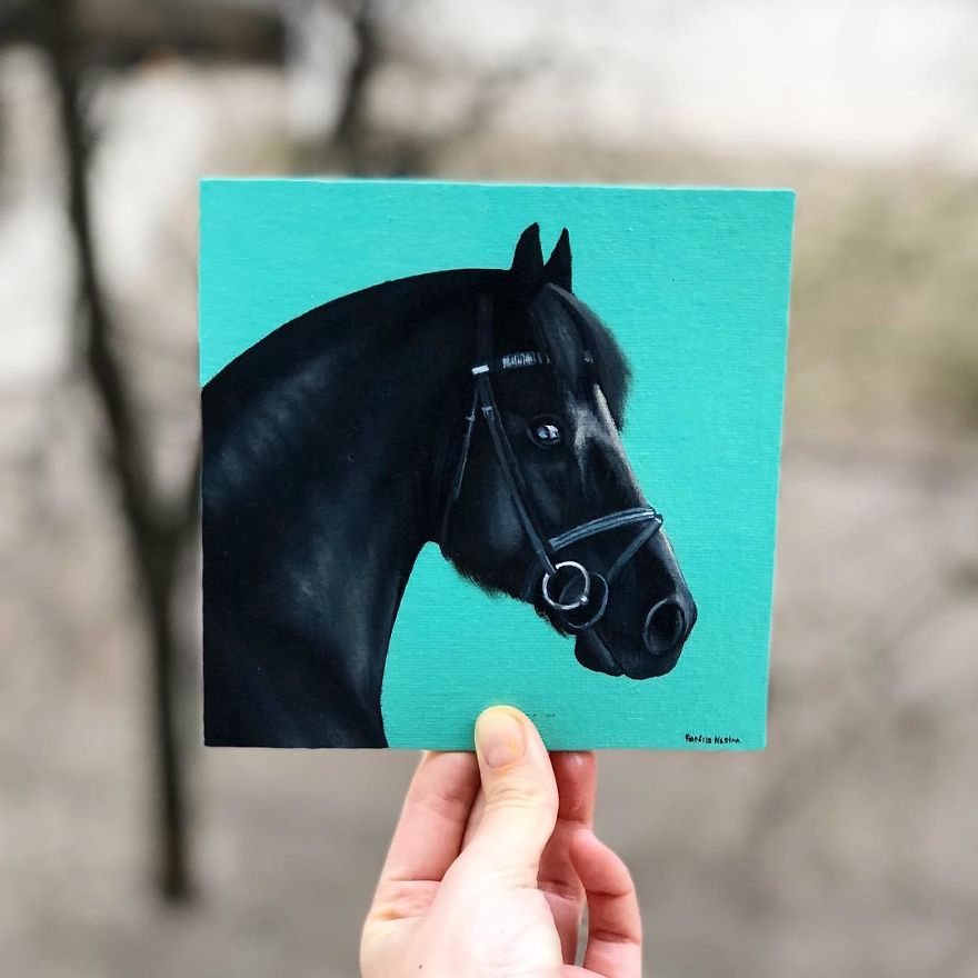 365 Horse Portraits In 365 Days