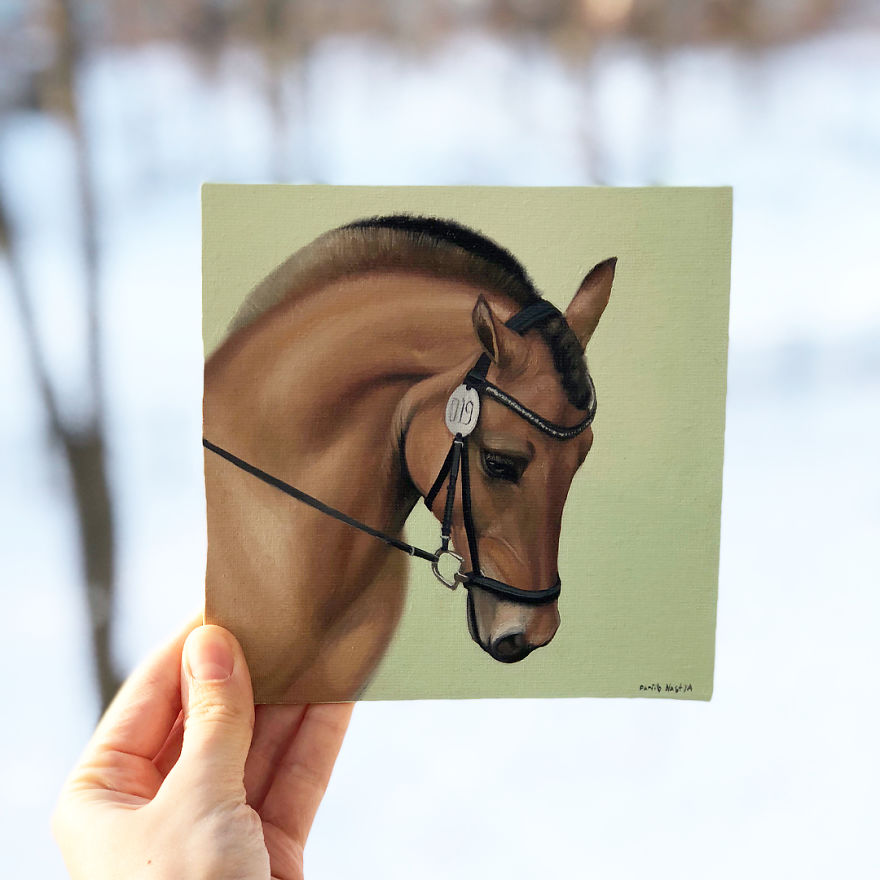 365 Horse Portraits In 365 Days