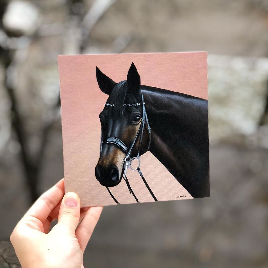 365 Horse Portraits In 365 Days