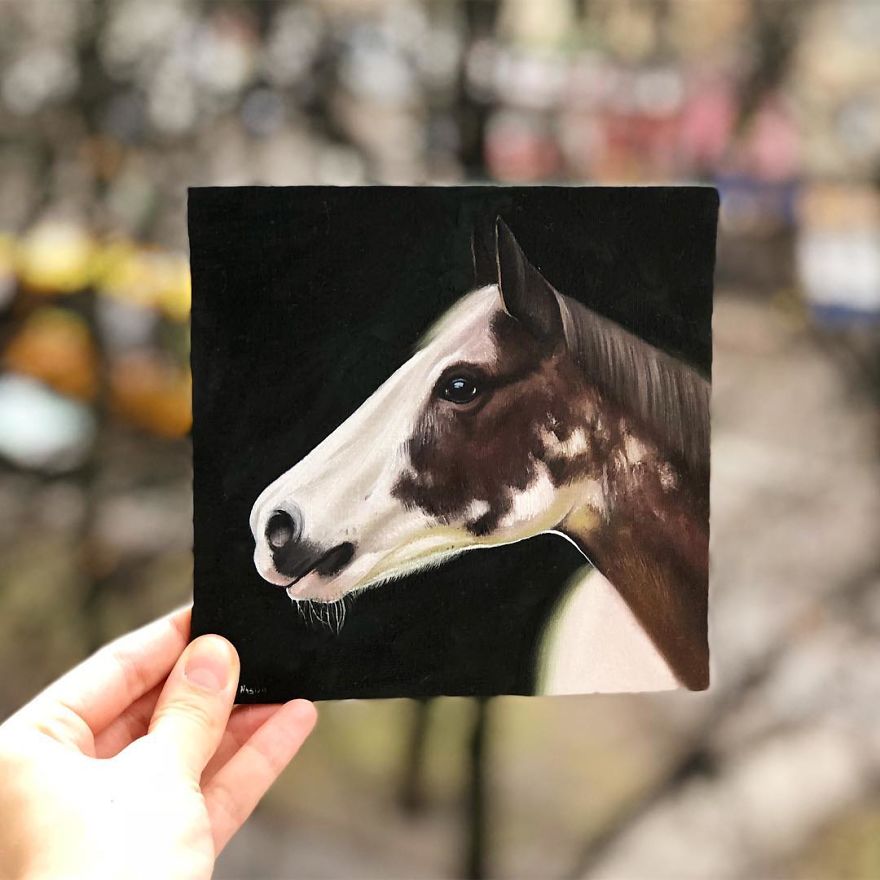 365 Horse Portraits In 365 Days