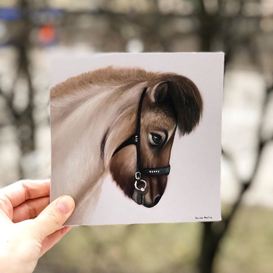 365 Horse Portraits In 365 Days
