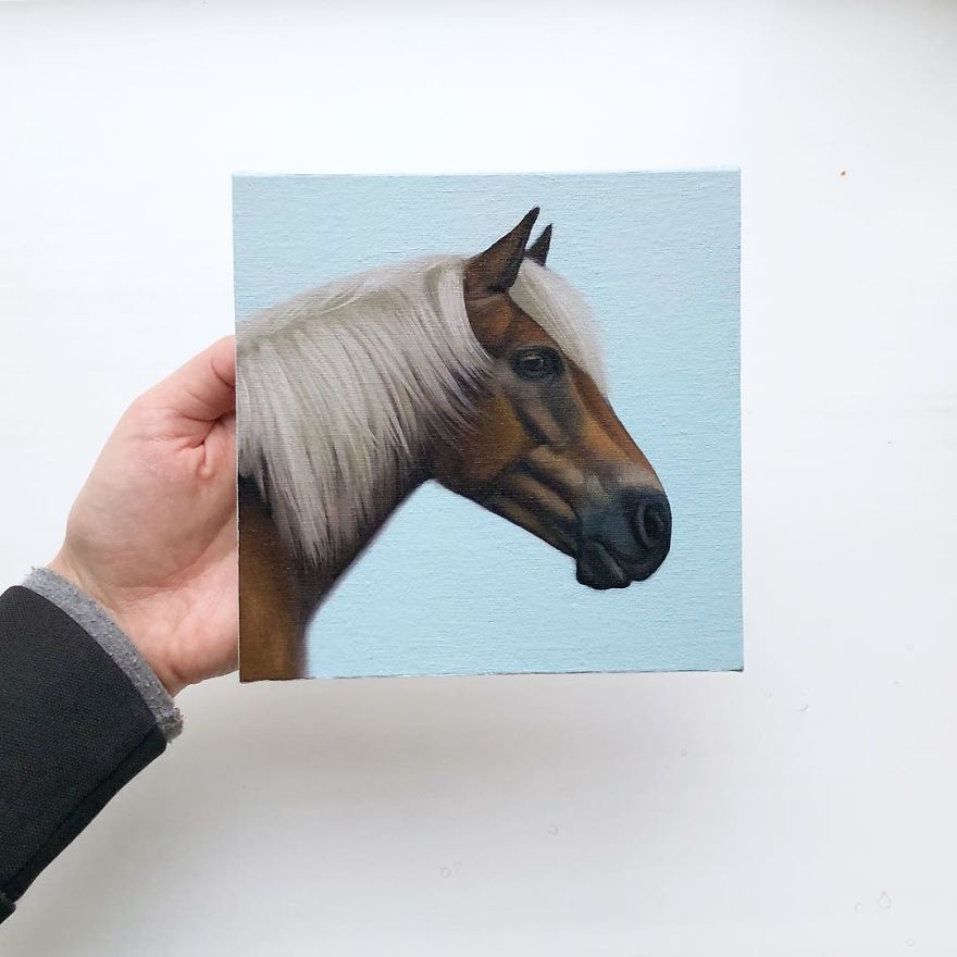 365 Horse Portraits In 365 Days