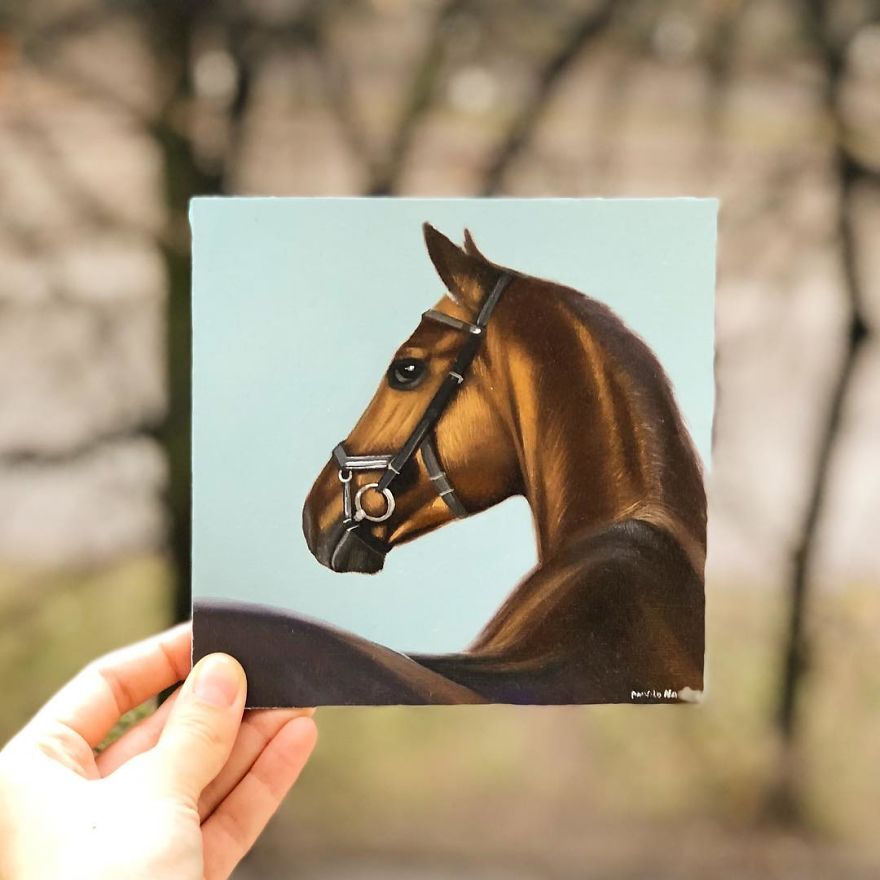 365 Horse Portraits In 365 Days