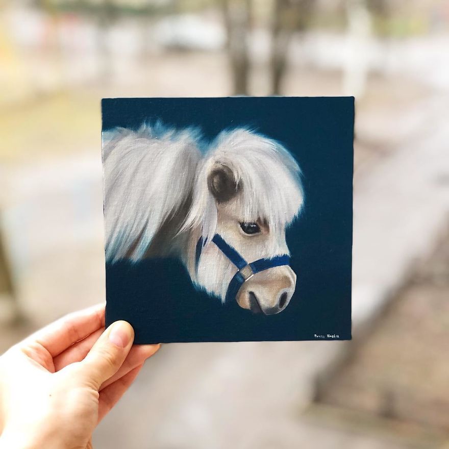 365 Horse Portraits In 365 Days