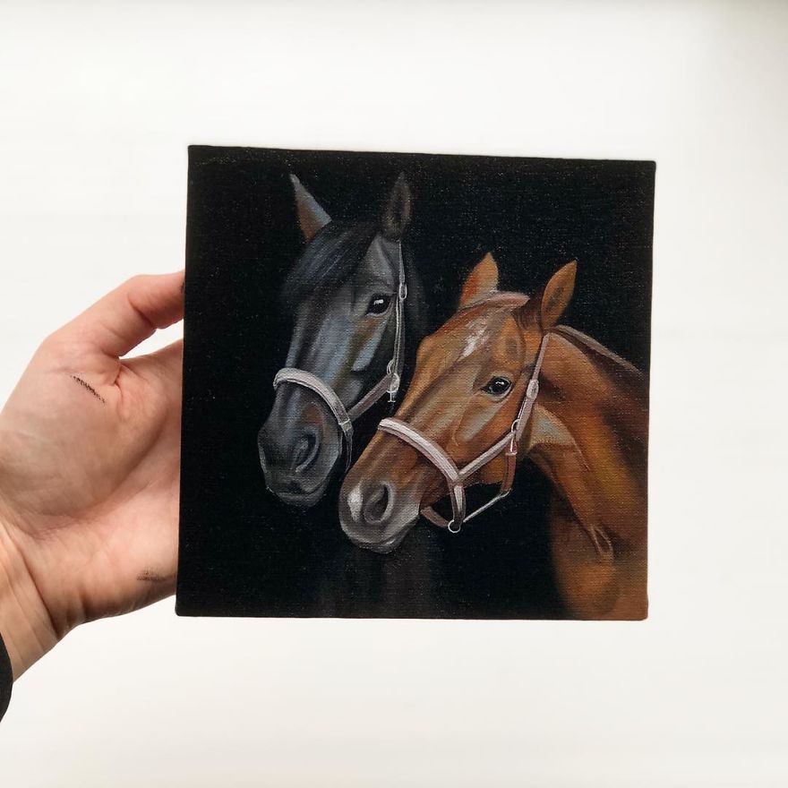 365 Horse Portraits In 365 Days