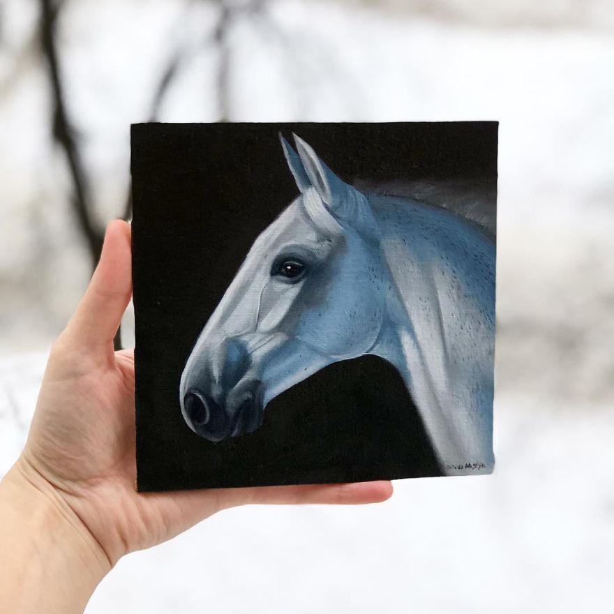 365 Horse Portraits In 365 Days