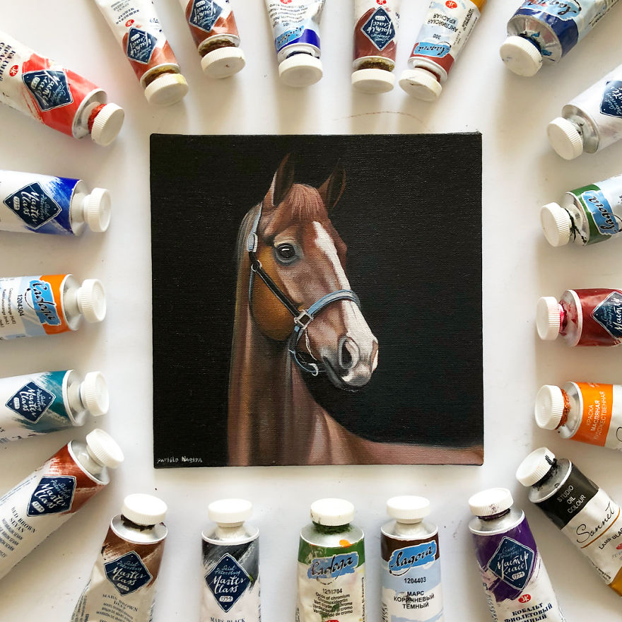 365 Horse Portraits In 365 Days