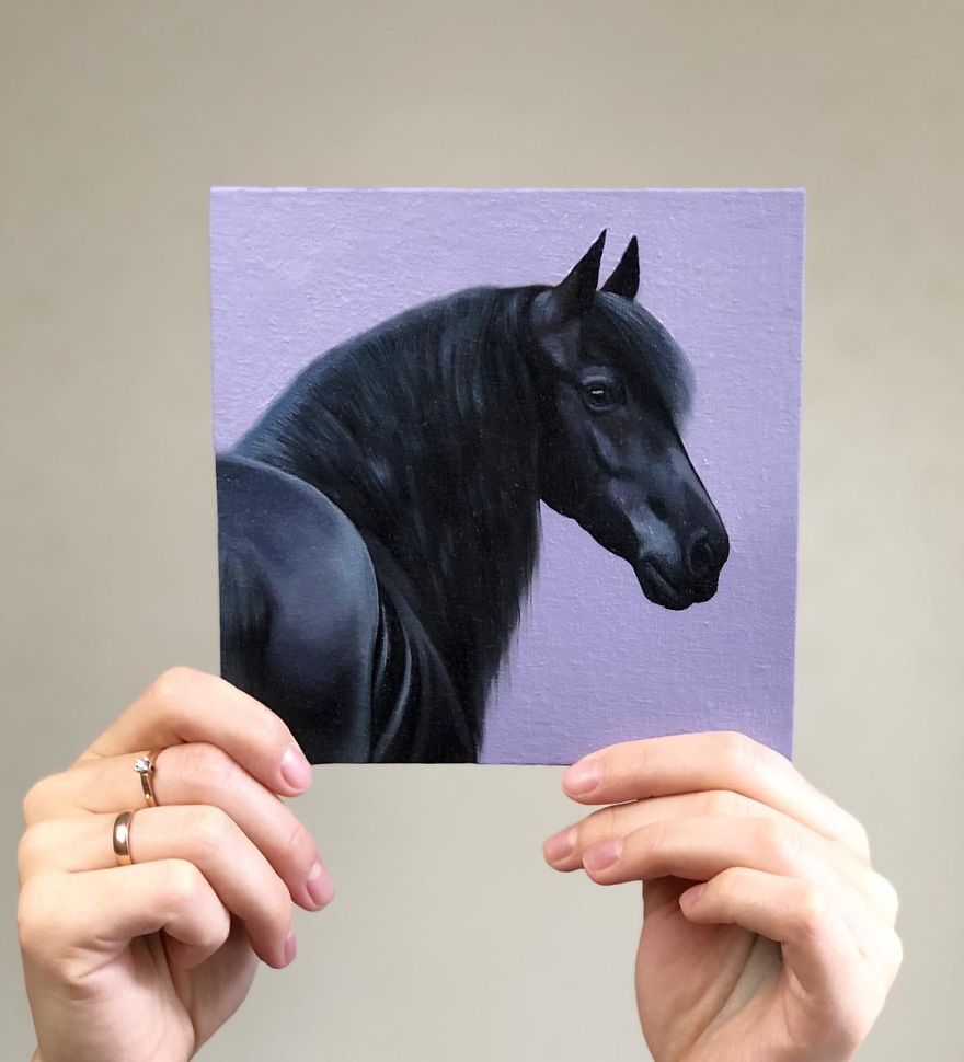 365 Horse Portraits In 365 Days