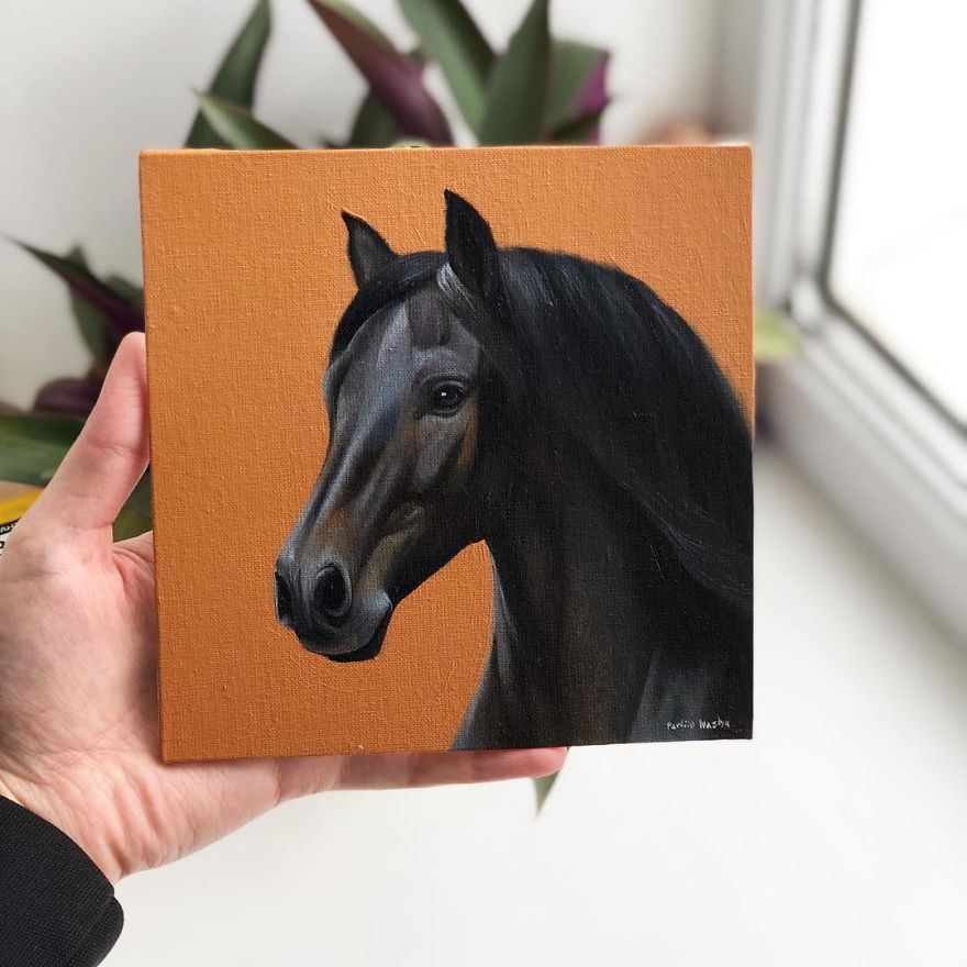 365 Horse Portraits In 365 Days