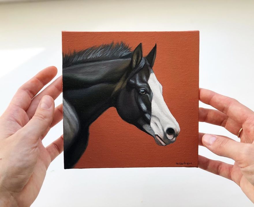 365 Horse Portraits In 365 Days