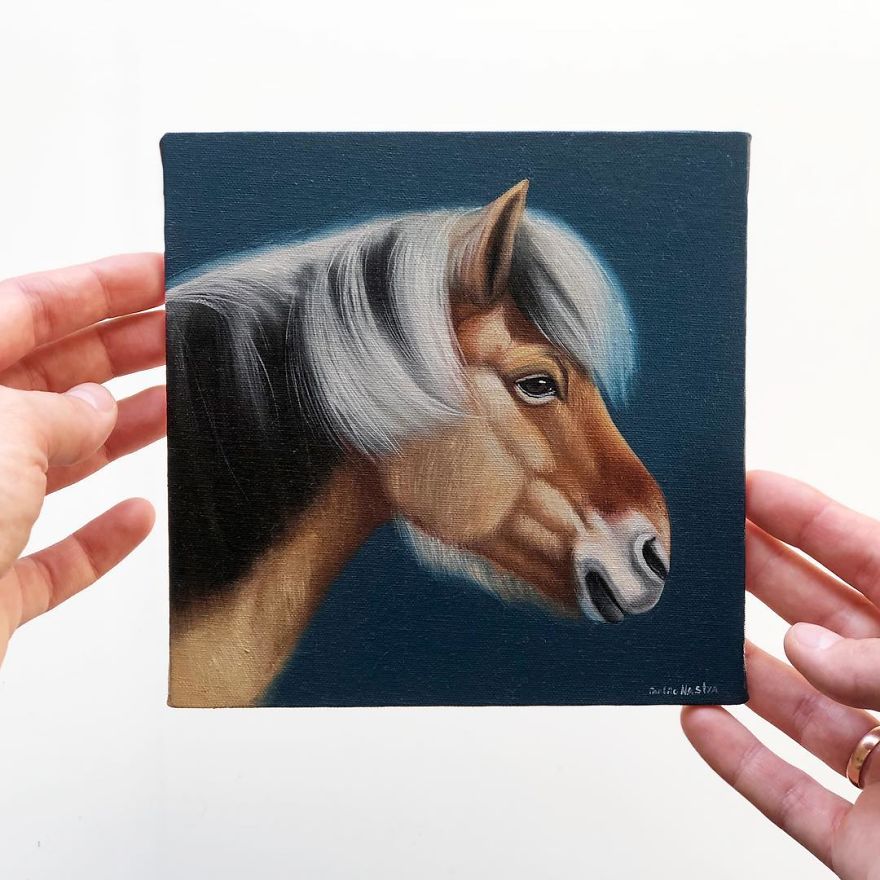 365 Horse Portraits In 365 Days