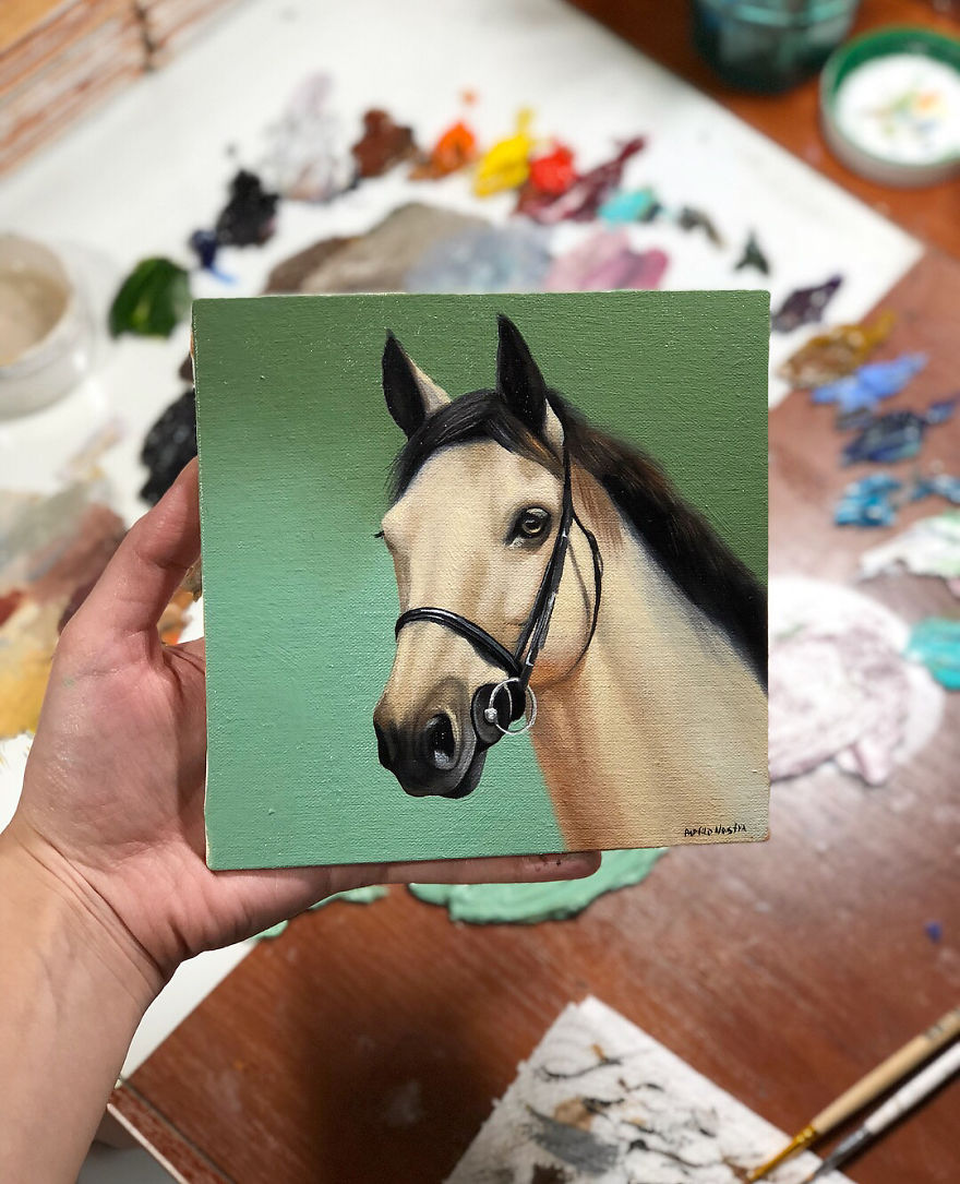 365 Horse Portraits In 365 Days