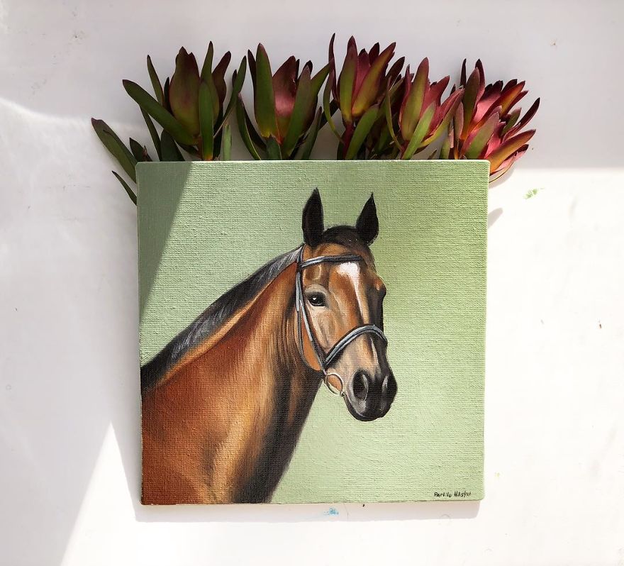 365 Horse Portraits In 365 Days