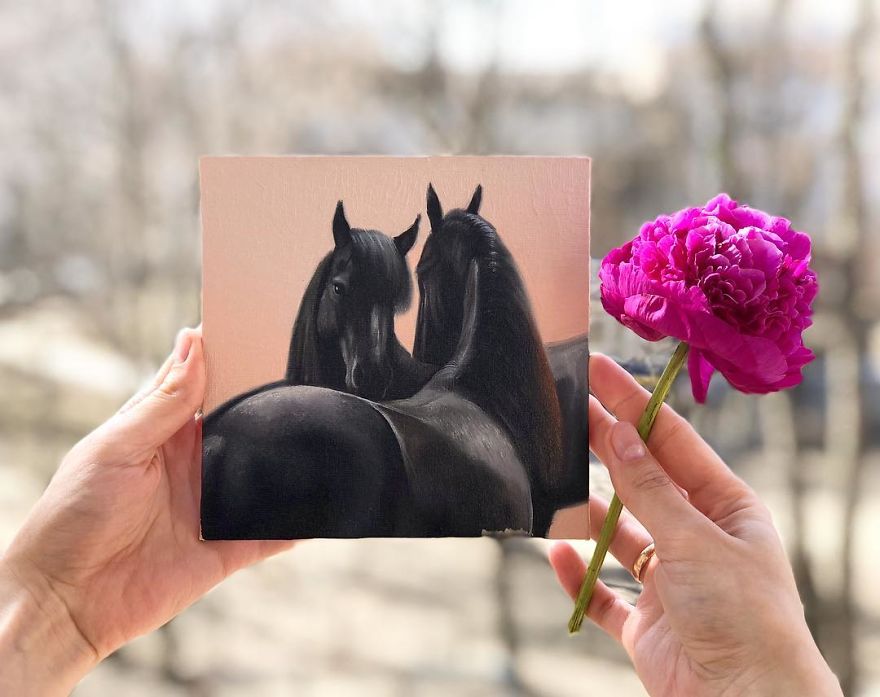 365 Horse Portraits In 365 Days