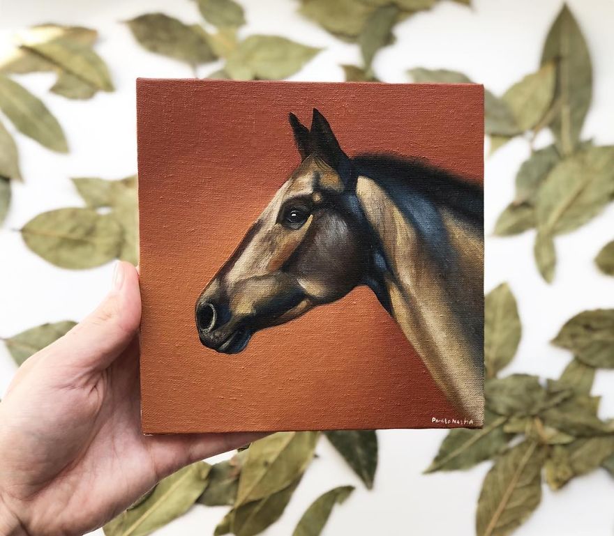 365 Horse Portraits In 365 Days