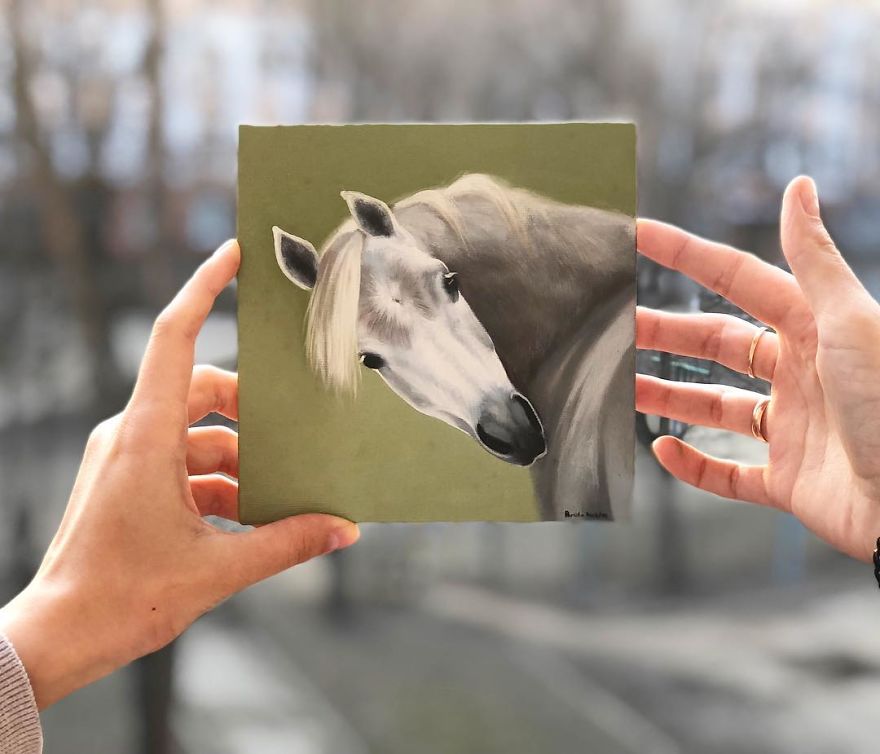 365 Horse Portraits In 365 Days