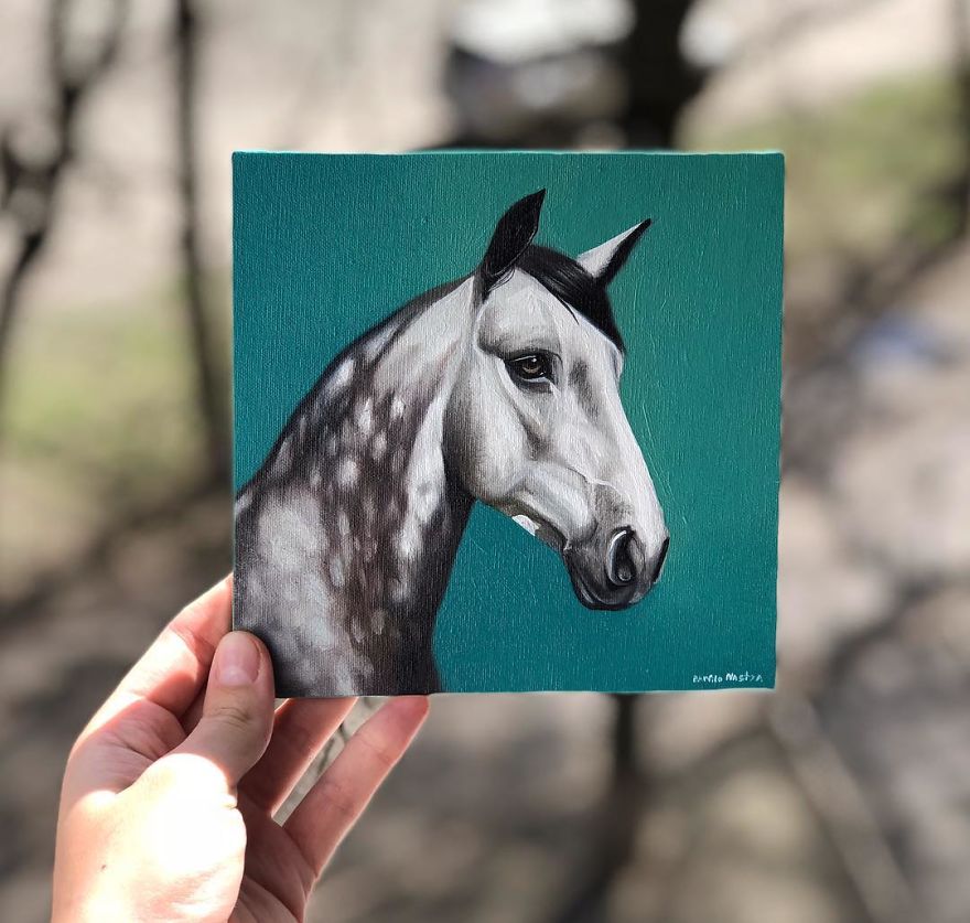 365 Horse Portraits In 365 Days