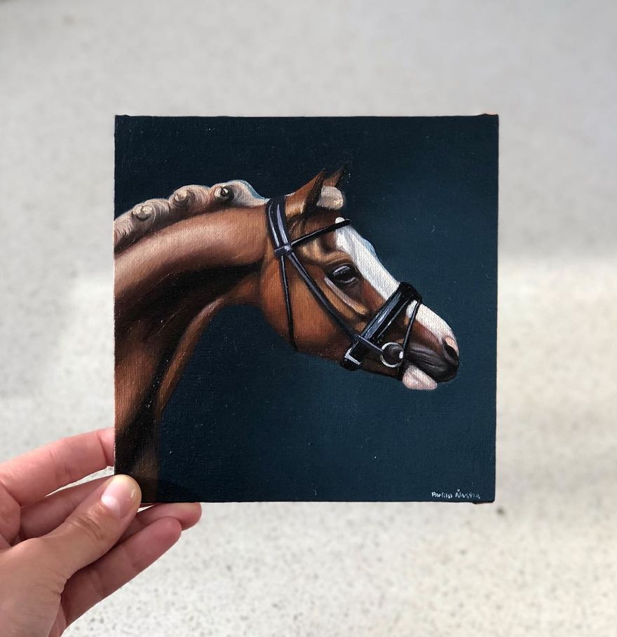 365 Horse Portraits In 365 Days