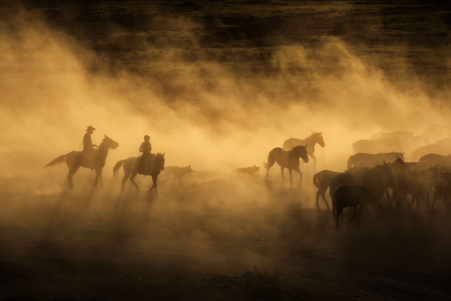 Wild Horses Of Cappadocia Wild Horses Of Cappadocia