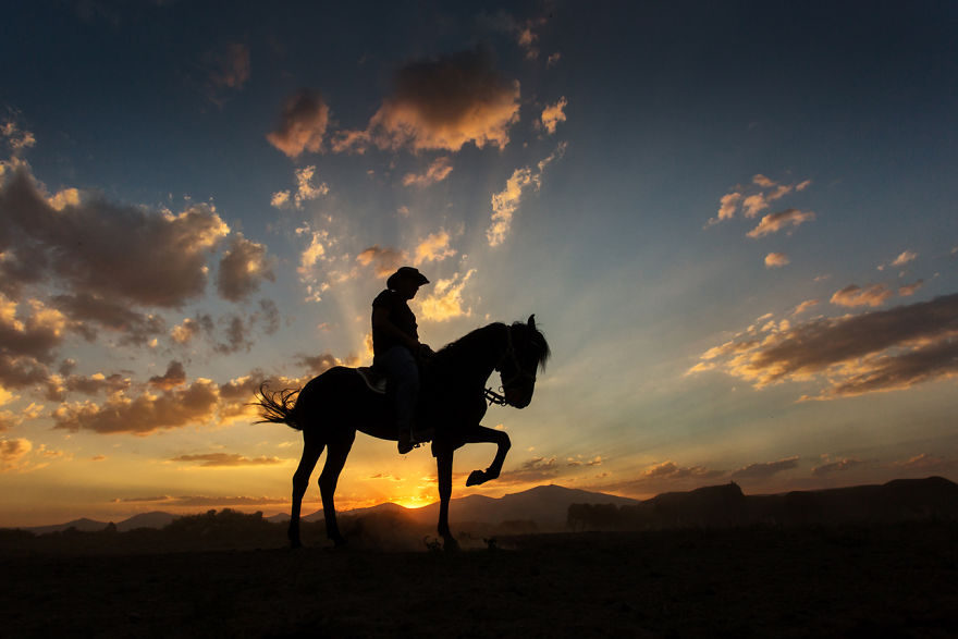 Wild Horses Of Cappadocia Wild Horses Of Cappadocia