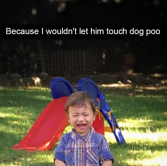 Because I Wouldn't Let Him Touch Dog Poo