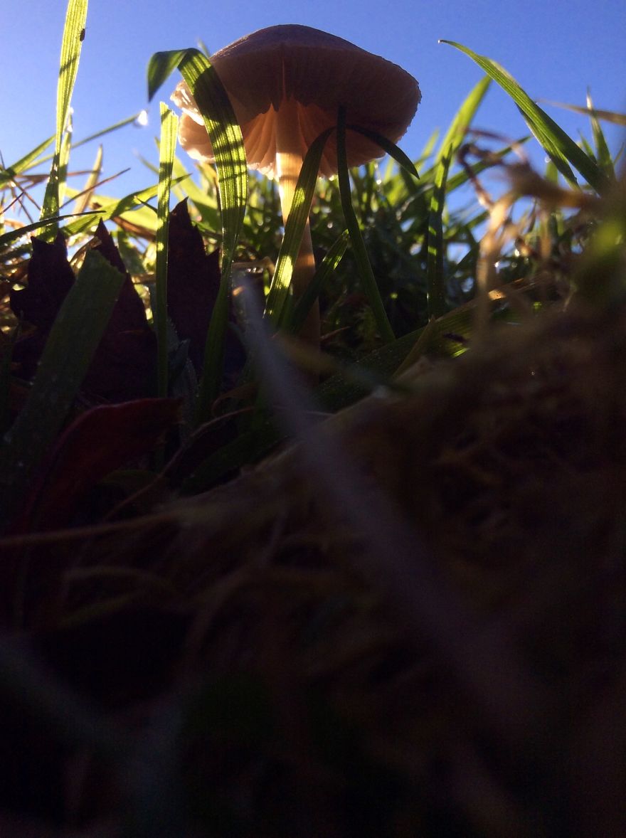 People, Places And Things