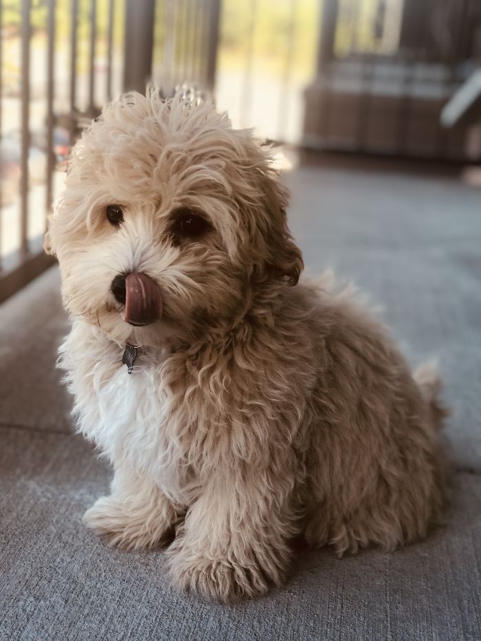 Hi There! Is This A Good Time To Steal Your Heart?