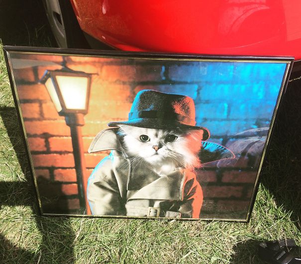 I Spent 50p On A New Friend